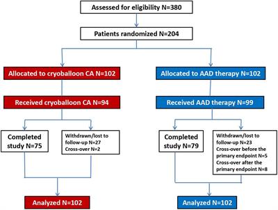 Cryoballoon catheter ablation or drug therapy to delay progression of atrial fibrillation: A single-center randomized trial